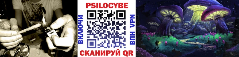 купить наркотики цена  ссылка на мегу tor  Псилоцибиновые грибы Psilocybe  Сясьстрой 