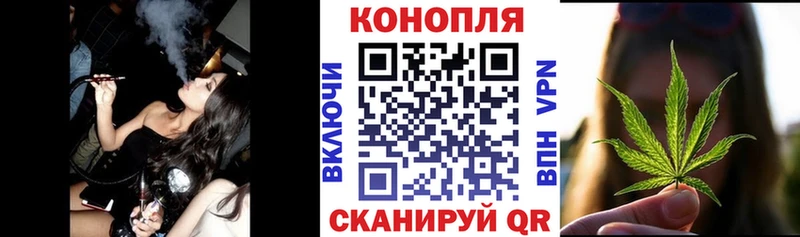 Канабис SATIVA & INDICA  Сясьстрой 